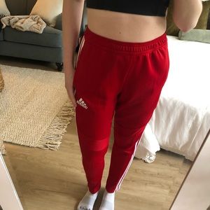 Adidas Track Pant